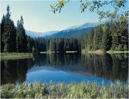 Nzke Tatry - Vrbick jazero