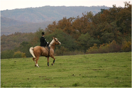 23.10.2010 - Hubertova jazda, Topoianky