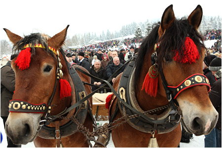 Slovensk prezident Ivan Gaparovi a posk prezident Lech Kaczyski sa stretli na Orave - 21.2.2009