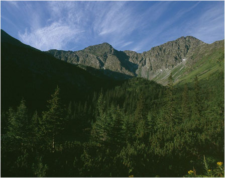 Nizke Tatry - Chopok, v pozad Vysok Tatry