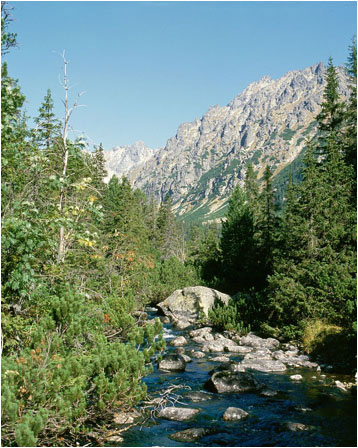 Vysok Tatry - Popradsk pleso