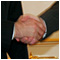 Prezident SR Ivan Gaparovi prijal v Prezidentskom palci predsedu vldy Moldavskej republiky