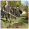 Working trip to Bojnice Planting a LIME TREE  OF THE KING MATHEW LIME TREES DAUGHTER The Castle of Bojnice 27 October 2005 [new window]