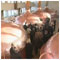 An official visit to the Republic of Estonia, Tallinn, Visiting the SAKU Brewery, 13 October 2005  [new window]