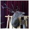 Breeding Exhibition of Hunting Trophies 2005 - 2006 Detva - 4 March 2006 [new window]