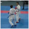 Part 1 - 42. Karate European Championship of Seniors Bratislava 4 May 2007 [new window]