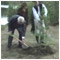 Part 2 - SUMMIT of the Presidents of the V-4 Countries Planting trees trbsk Pleso 6 May 2012 [new window]