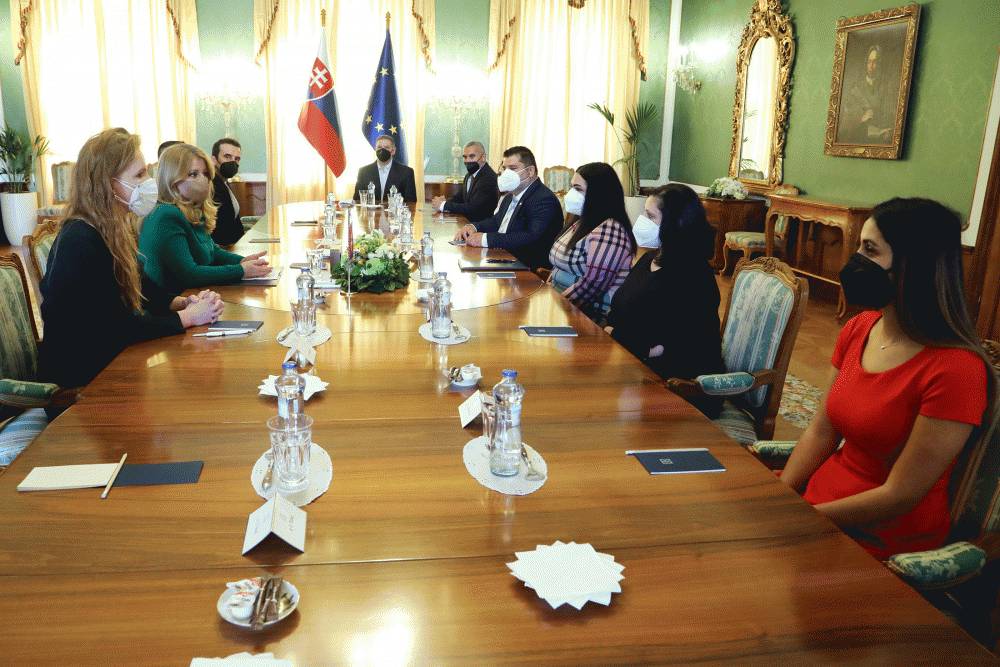 President Receives Romani Men and Women Working In the Front Lines During the Pandemic