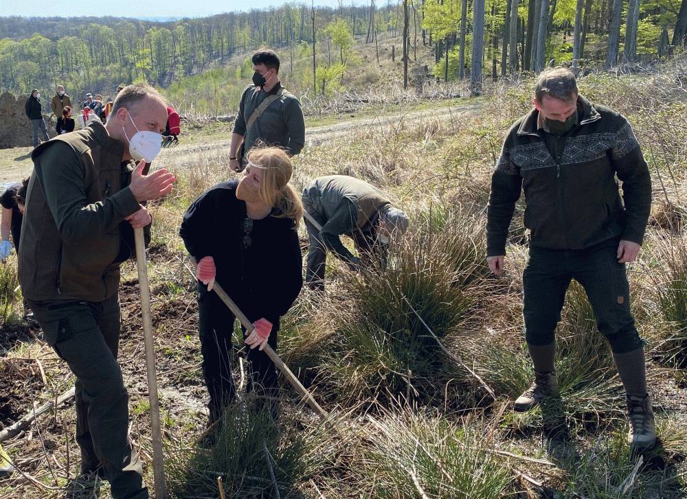 1,650 Trees Were Added to the Forest near Limbach